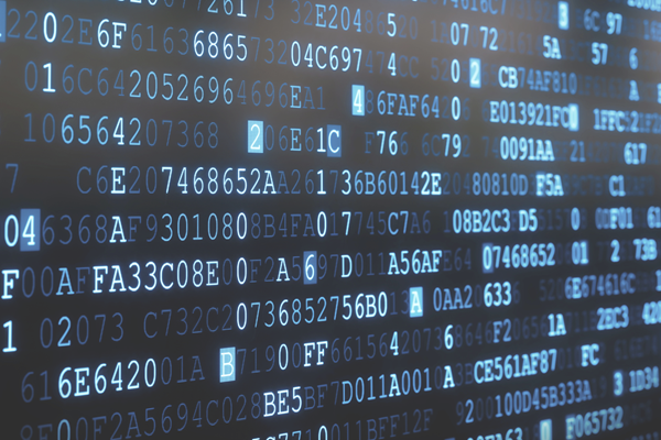 IT - Systemadministrator (m/w/d)